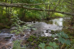The river Meurthe running through the Plainfaing estate Holidays in the Vosges